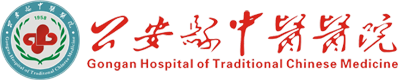 公安縣中醫(yī)醫(yī)院網(wǎng)站