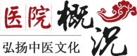 公安縣中醫醫院簡介